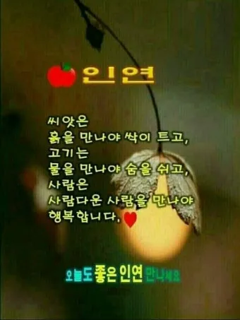 8월 인사말 예시 모음 이모티콘_12