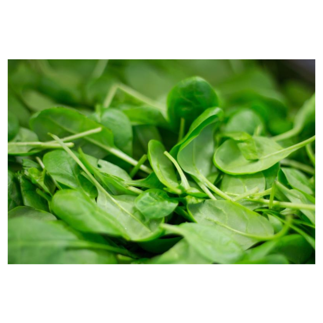 골다공증과 관련된 사진입니다.