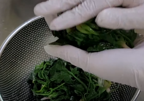시금치 물기 짜내기