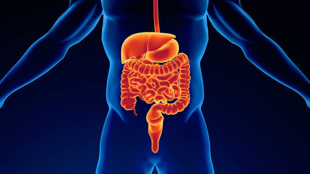 항문거근증후군 원인&#44; 증상&#44; 치료&#44; 예방법을 참고하시기 바랍니다.