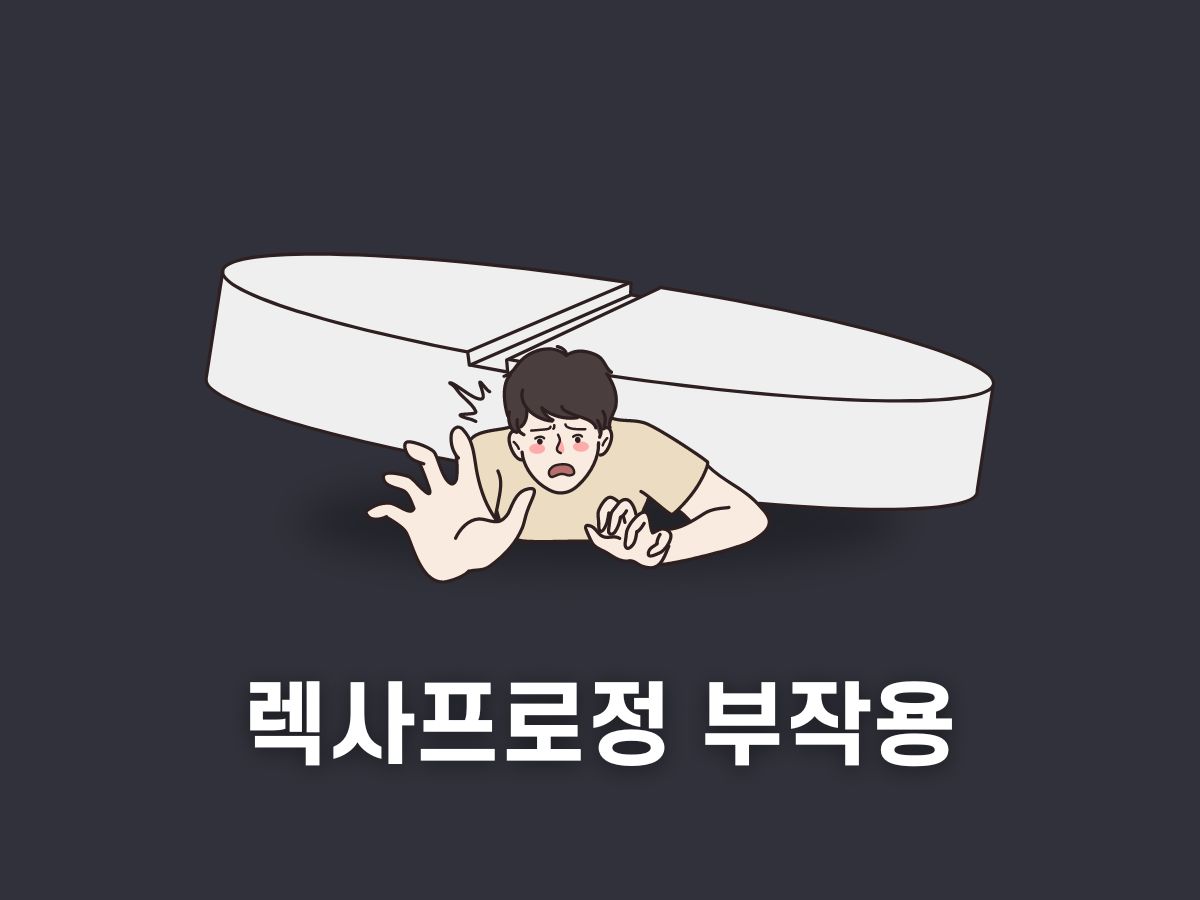 렉사프로정 부작용