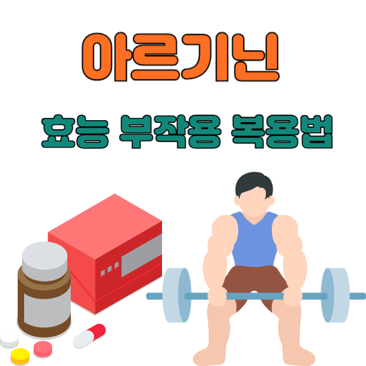 아르기닌 효능 부작용 복용법