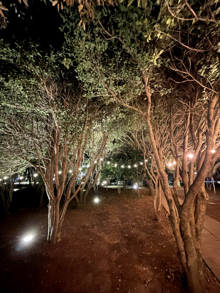 소노캄 제주 야경8