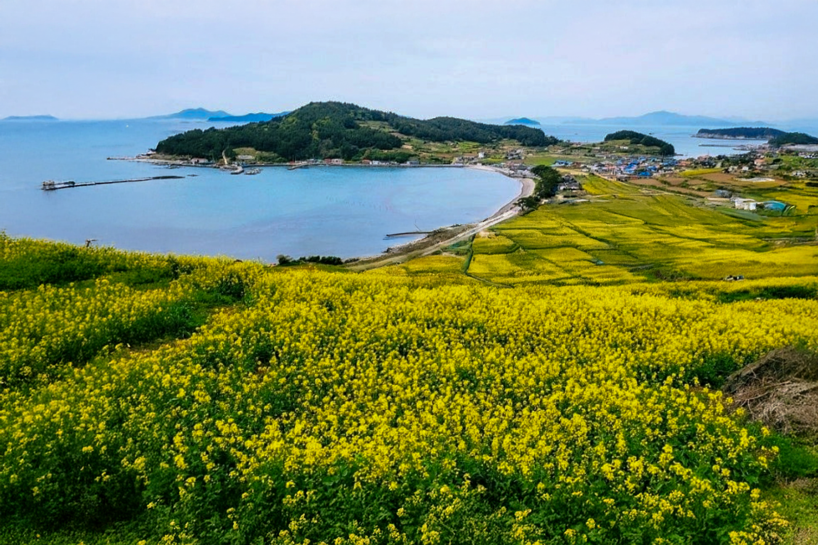 완도 청산도
