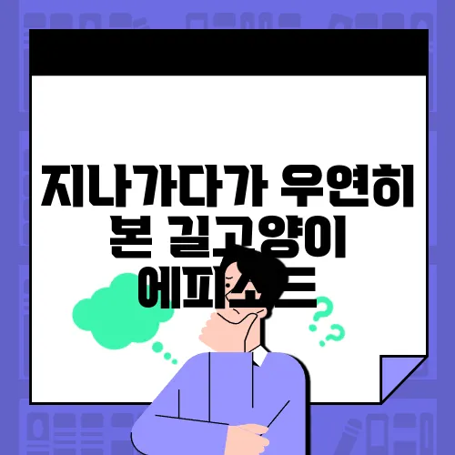 지나가다가 우연히 본 길고양이 에피소드