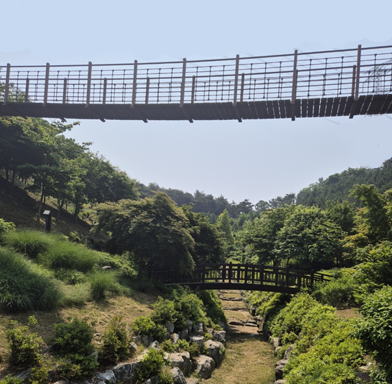 삼선산수목원 출렁다리