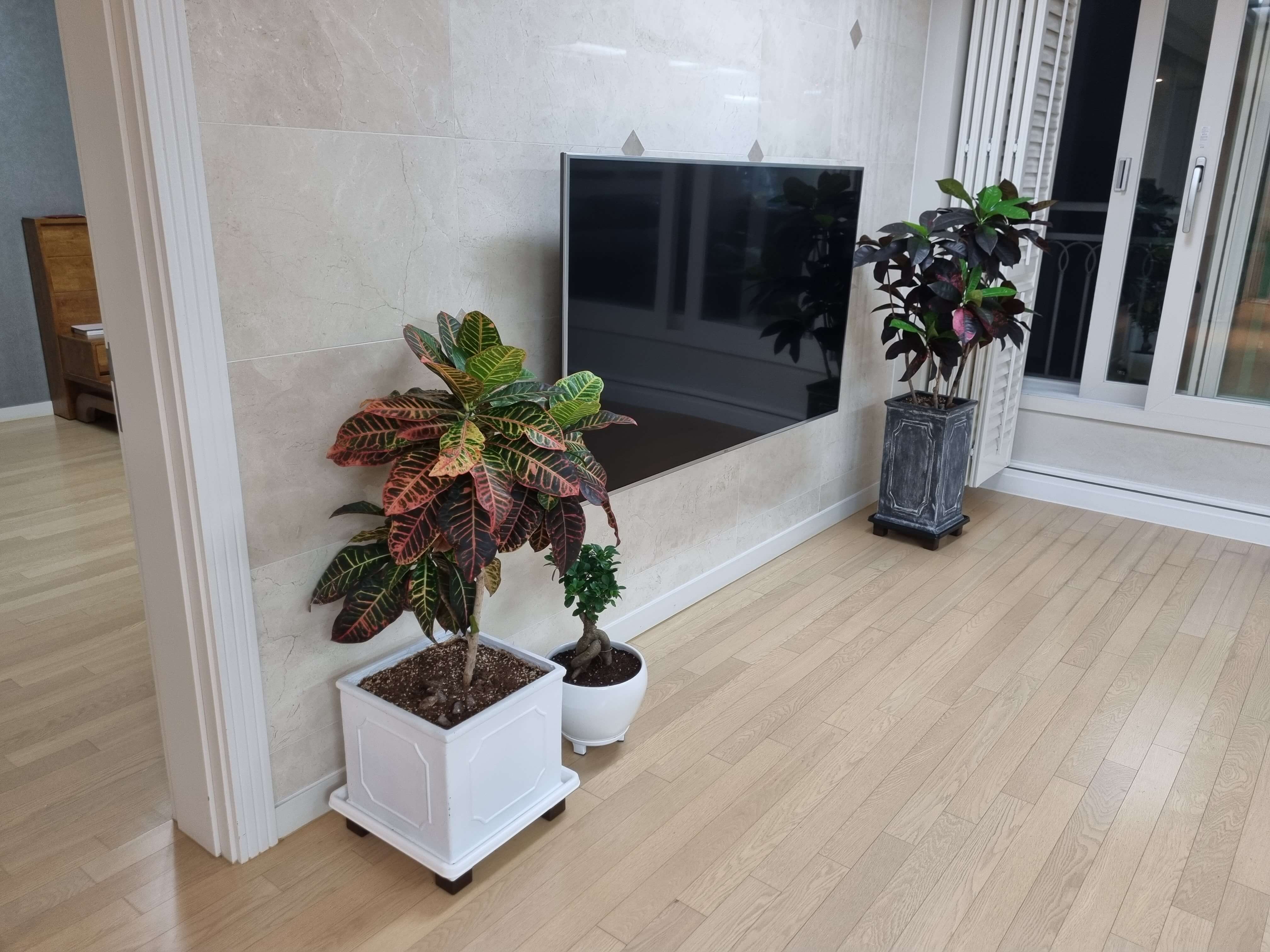 거실-화분