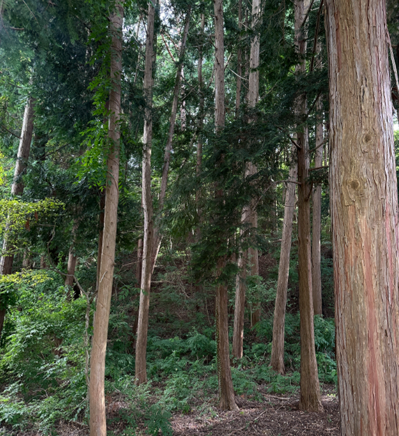 양산 법기수원지
