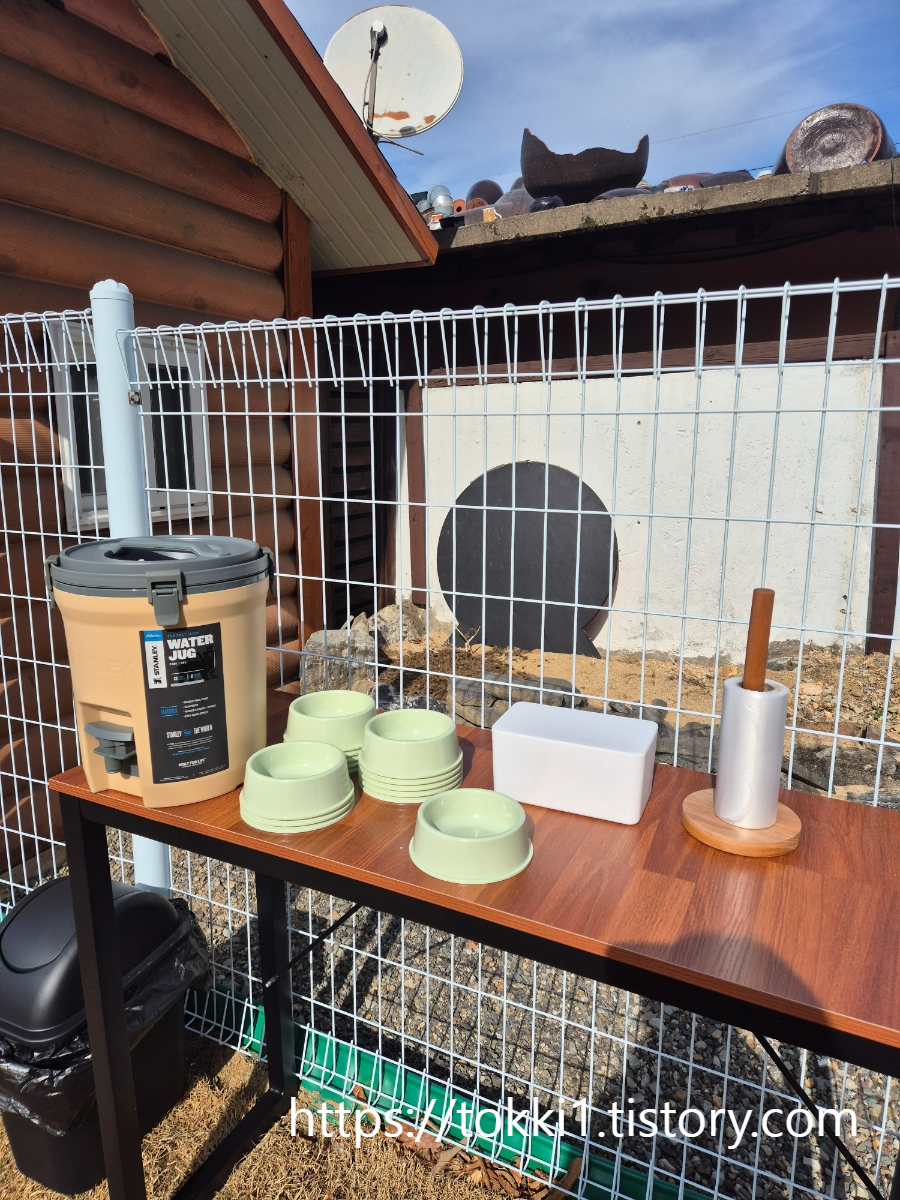 구미 산동 애견카페 또독하우스 넓은 잔디 운동장이 있는 신상 반려견 카페