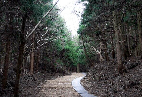 제주도 여행 가을 겨울 가볼만한 곳 오름 추천 입장료 소요시간 반려동물 동반
