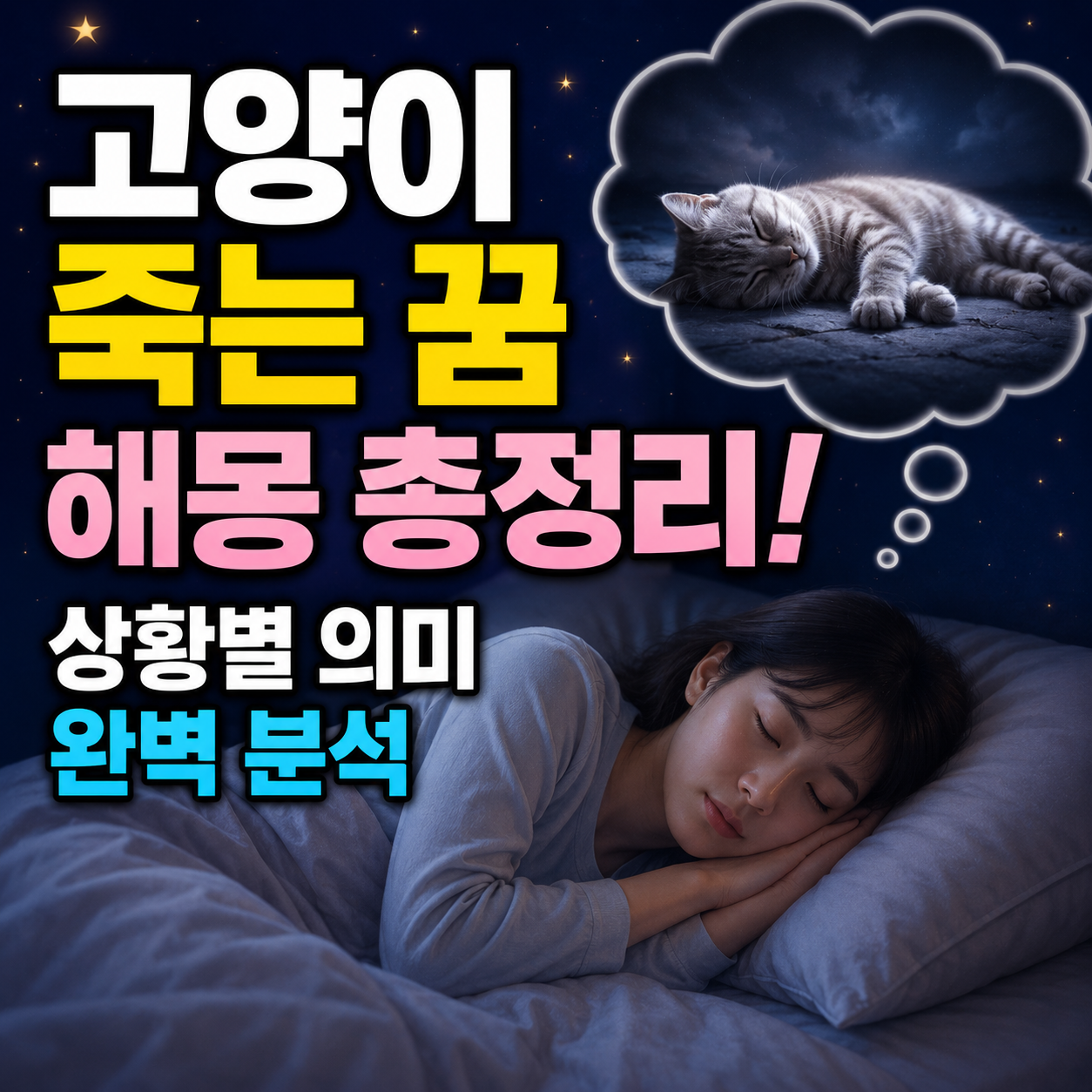 고양이 죽는 꿈