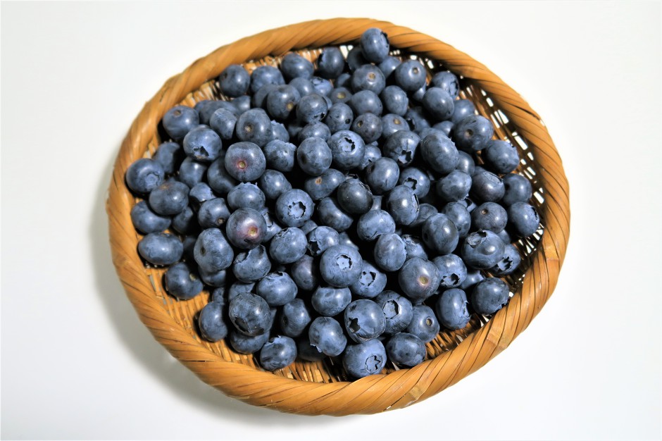 저속노화음식top5