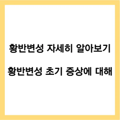 황반변성 증상