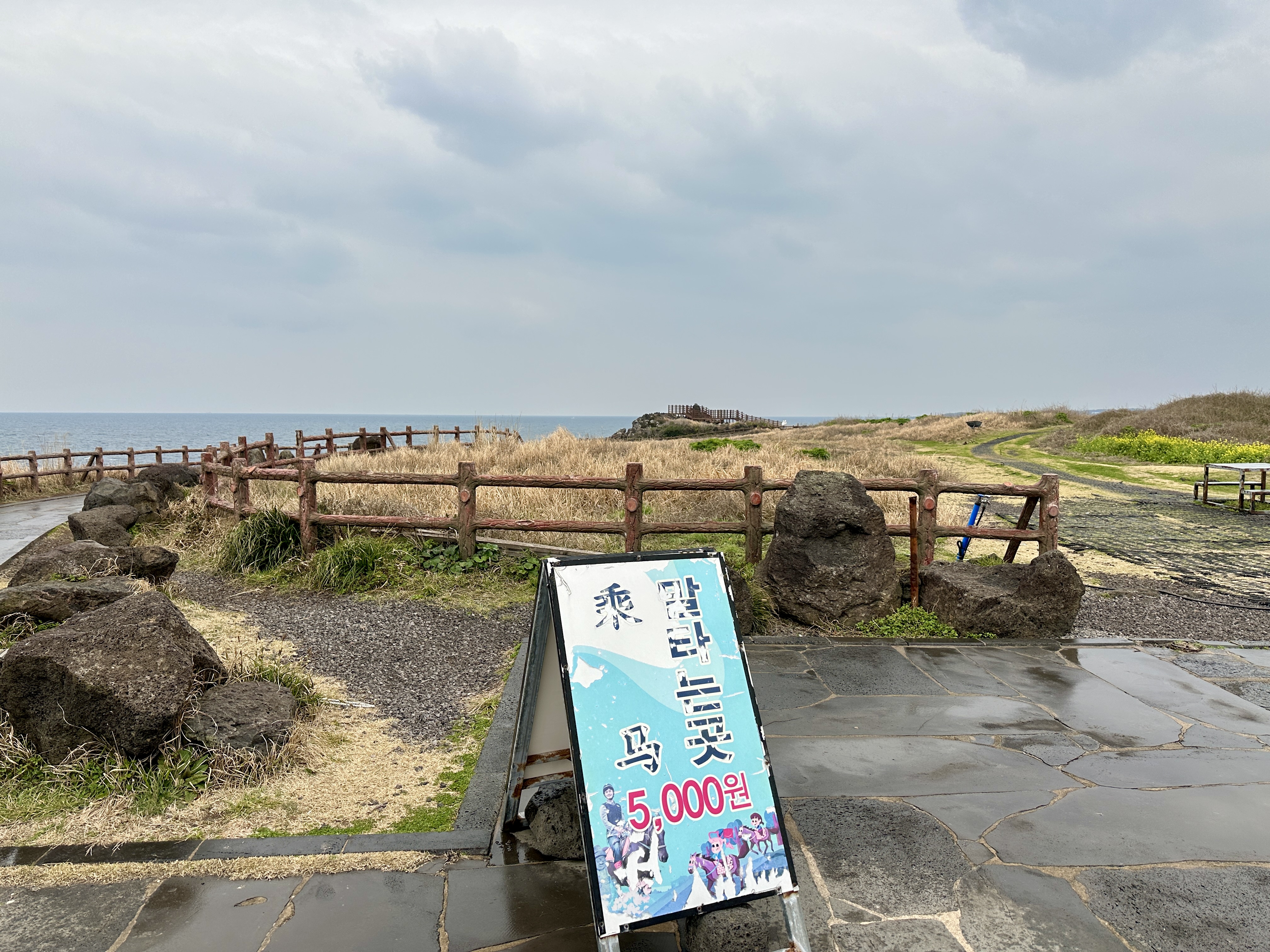 섭지코지 말타는곳