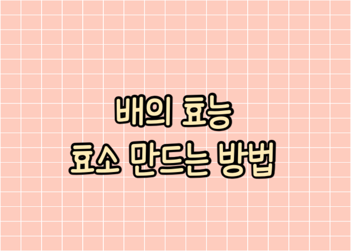 배의 효능 효소만드는 방법 글자 이미지