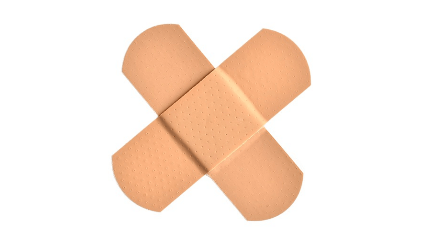 도토리 효능 - 2