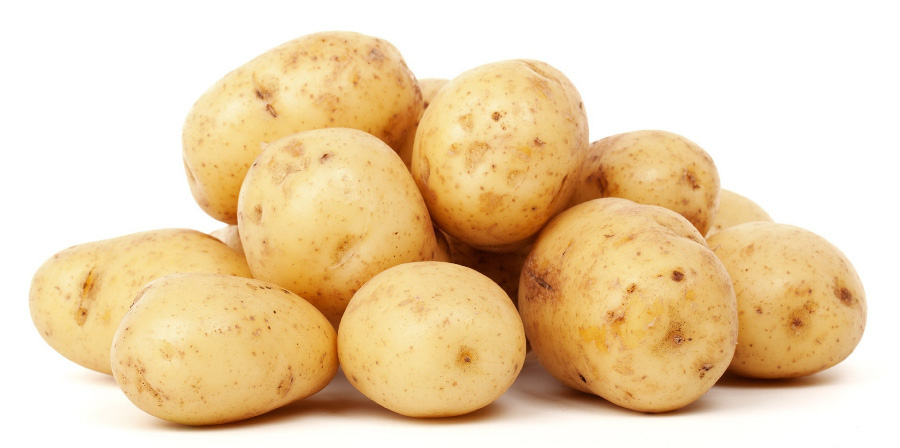 야생에서 채취를 한 감자를 깨끗하게 세척을 하고, 손질을 한 것을 하얀 바닥 위에 수북하게 쌓아두고 찍은 사진