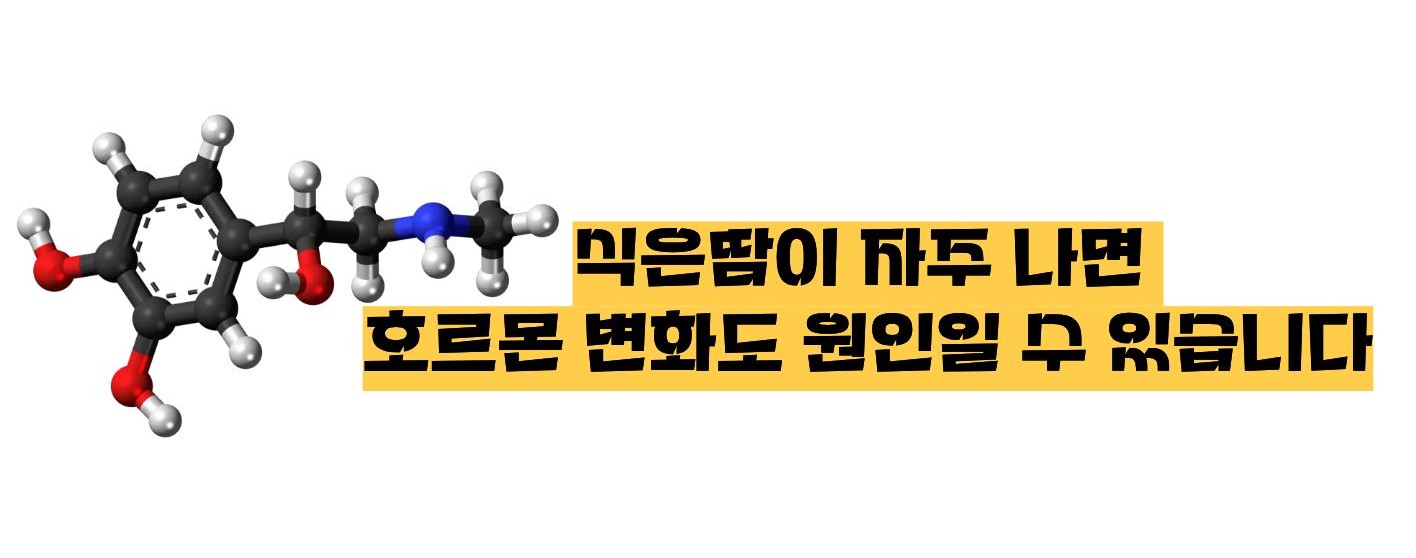 식은땀이 나고 기운이 없음