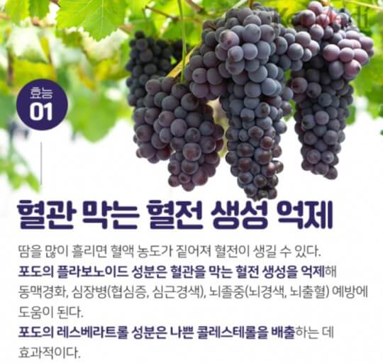 혈관에 좋은 포도
