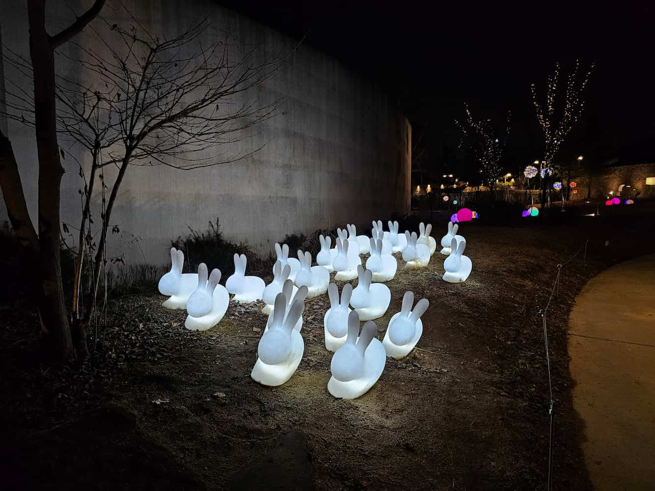 별빛정원우주 71