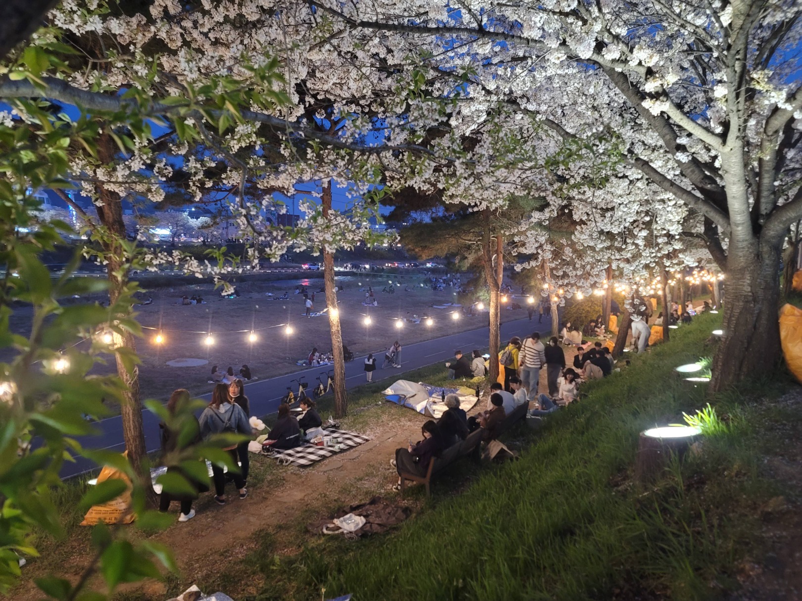 청주 푸드트럭