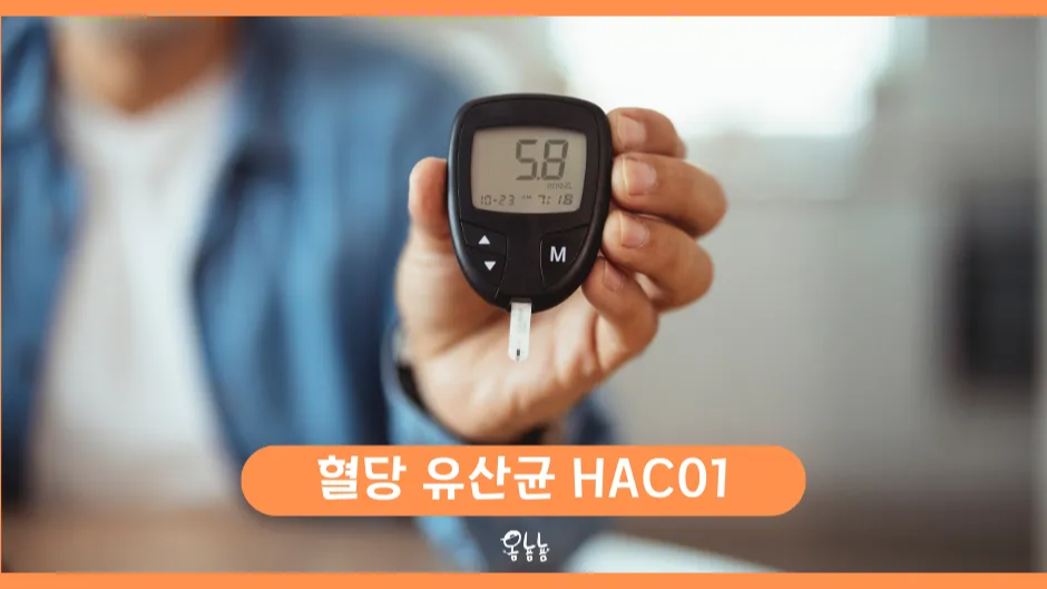 혈당 유산균 HAC01