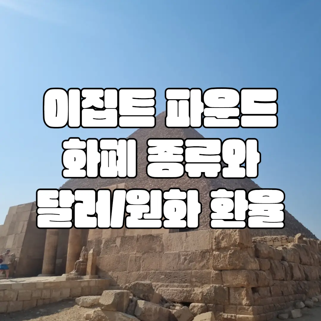 이집트 화폐 파운드(기니) 종류와 환율