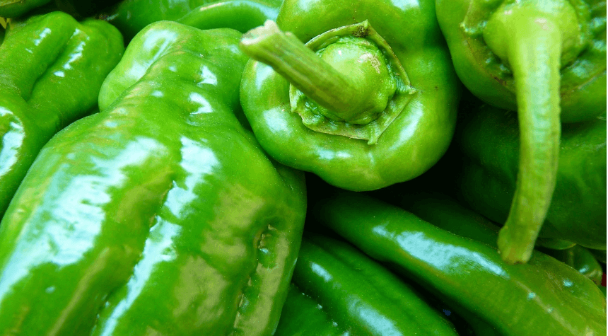 파프리카 사진 - 11