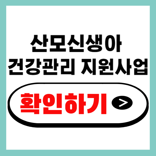 산모신생아 건강관리 지원사업