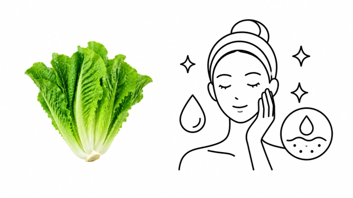 상추 효능 부작용