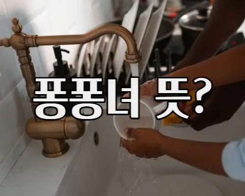 퐁퐁녀-뜻