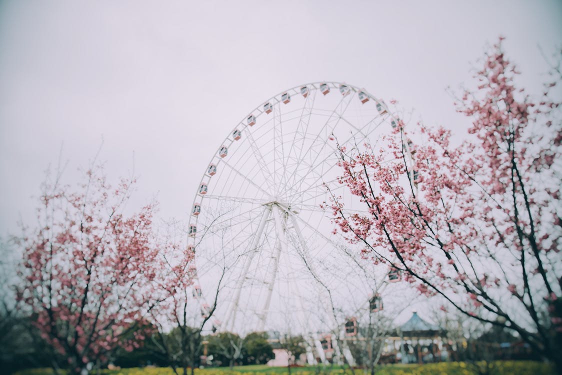 A White Ferris Wheel in Shanghai