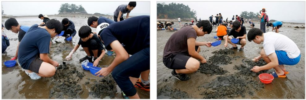 태안 가볼만한곳