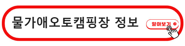 성주 포천계곡 캠핑장
