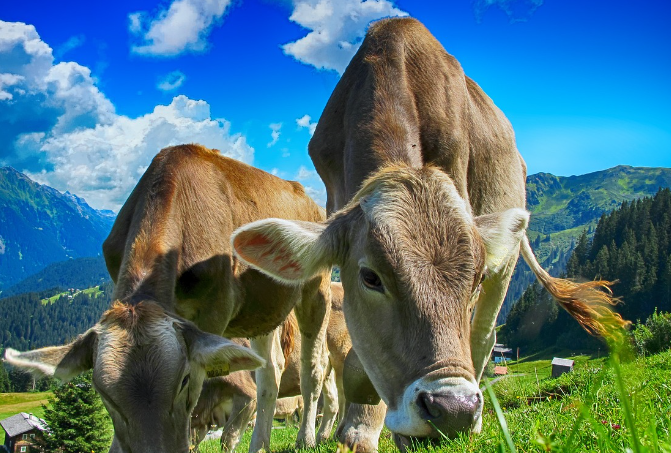 띠별운세 10월 30일