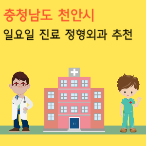 충청남도 천안시 일요일 진료 정형외과 추천