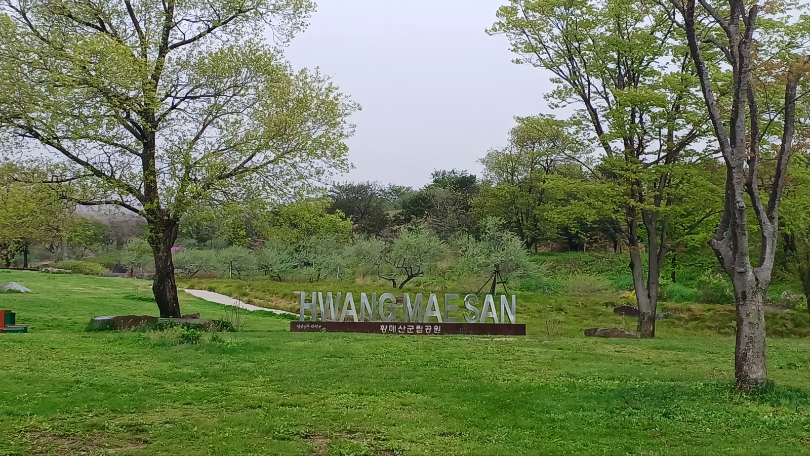 합천 황매산 철쭉45