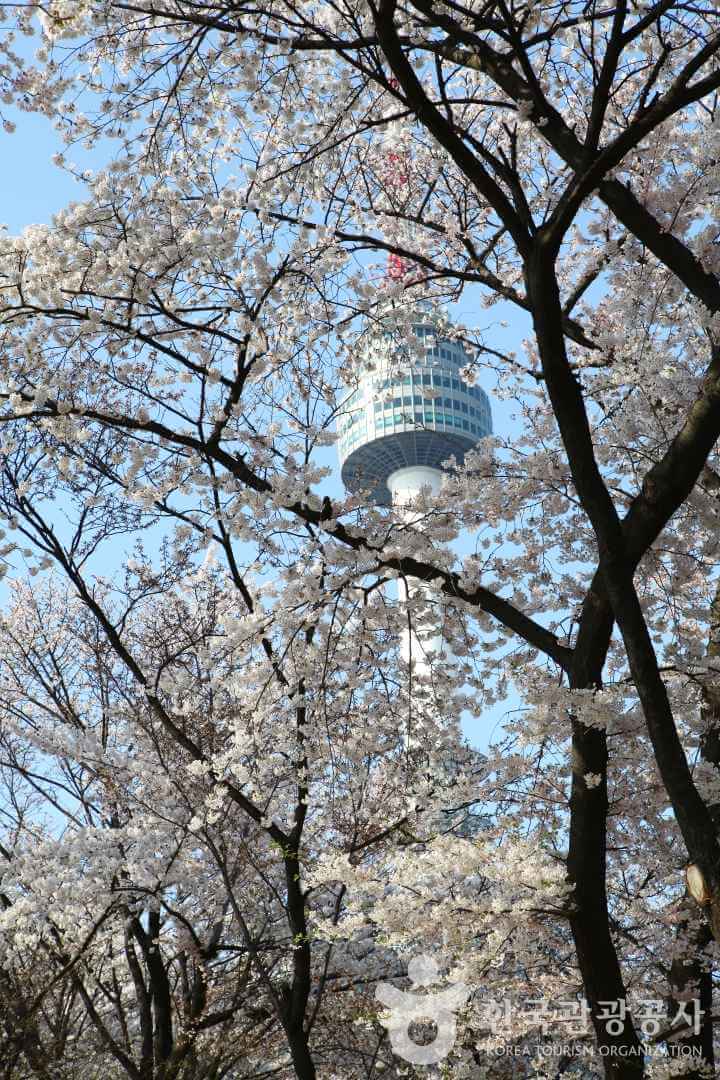 남산서울타워: 한국 방송과 관광의 상징