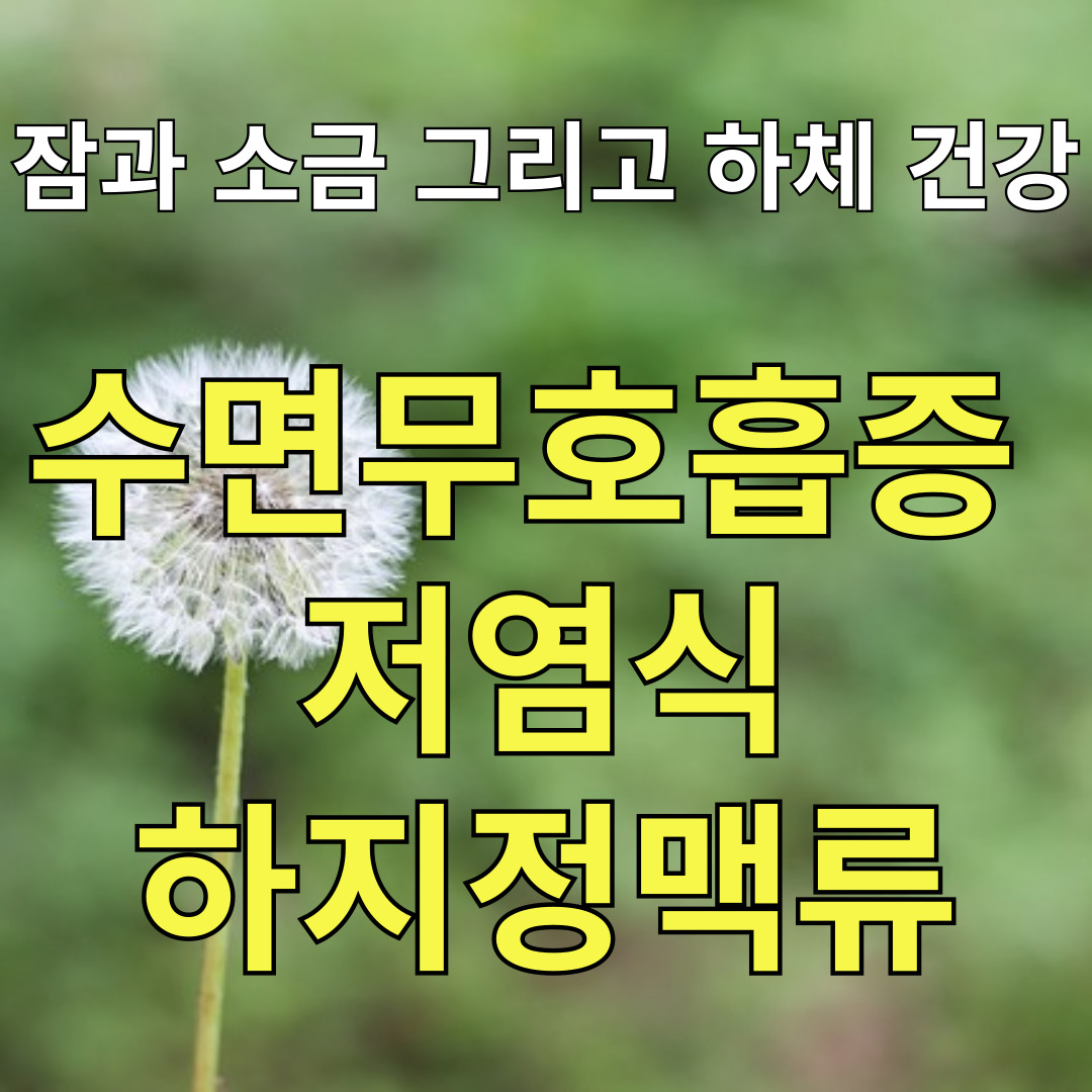 잠과 소금 그리고 하체 건강 &ndash; 수면무호흡증&#44; 저염식&#44; 하지정맥류