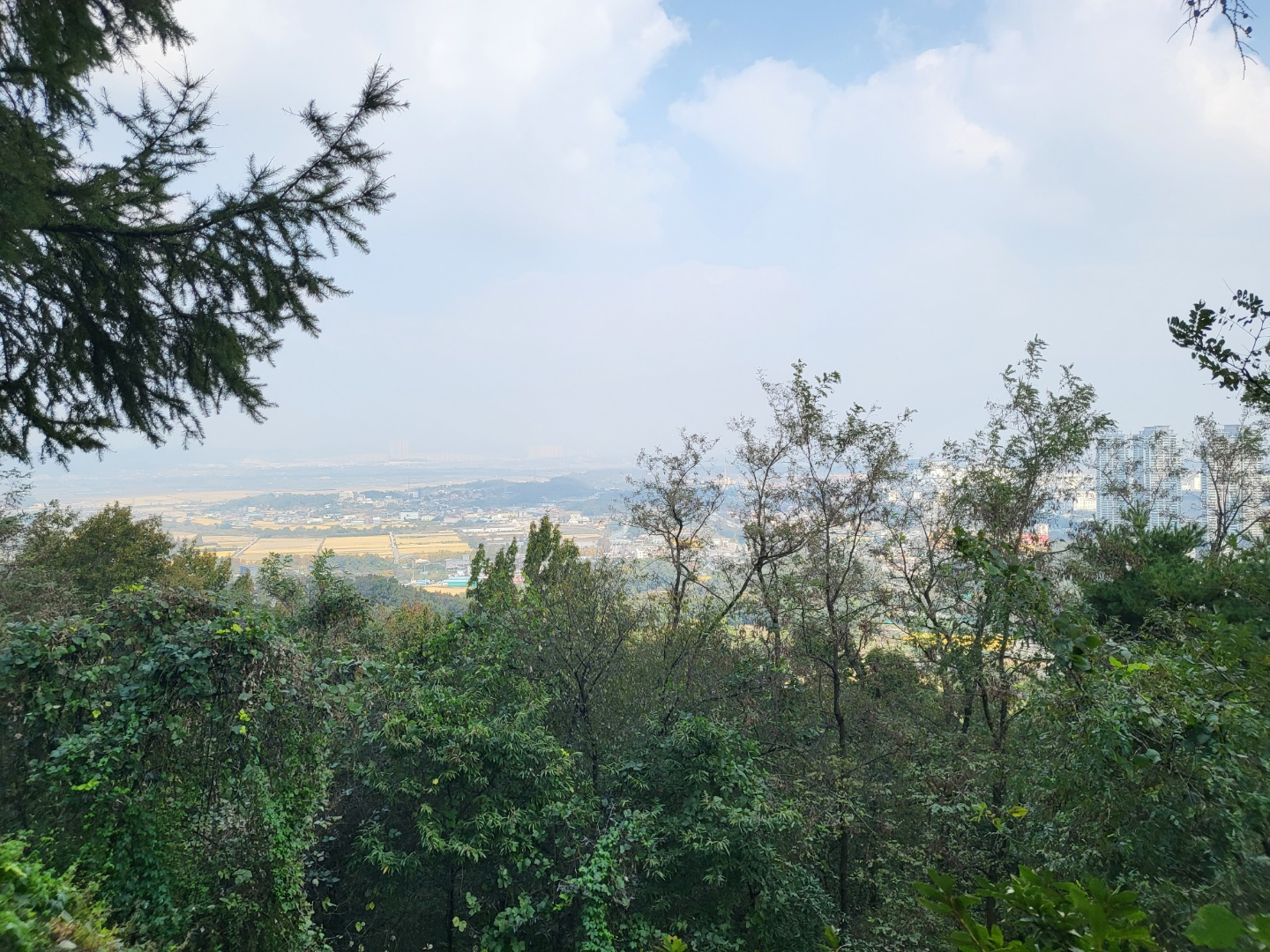 청주 부모산 연화사