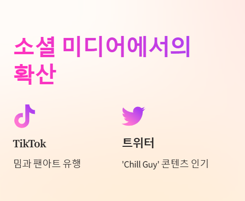 CHILLGUY배경화면, 아이폰 배경화면, 케이스, 프사 추천