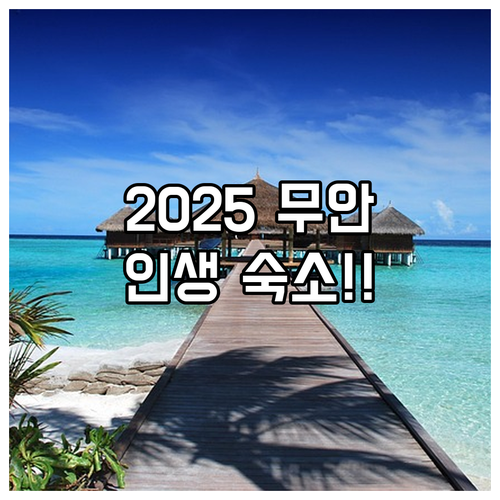 전남 무안 여행 숙소 분석 2025 ..