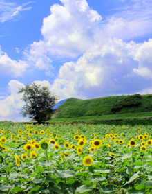 연천 제1땅굴 상승전망대 DMZ 안보관광