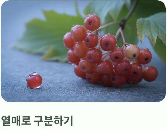 한눈에 보는 결정적 차이점