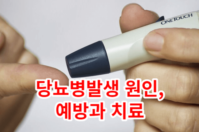당뇨병(Diabetes) 발생 원인&#44; 예방과 치료