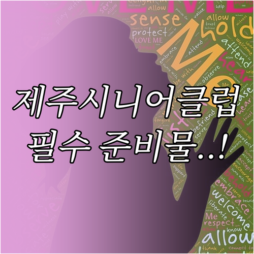 제주시 시니어클럽 사회복지사 채용 자..