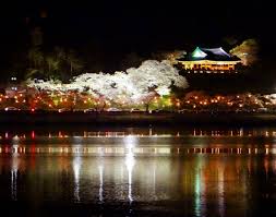 강원도 강릉 경포호 벚꽃 명소 베스트 5 벚꽃시기 만개시기 드라이브 코스