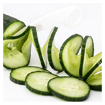 위고비 추천대상2