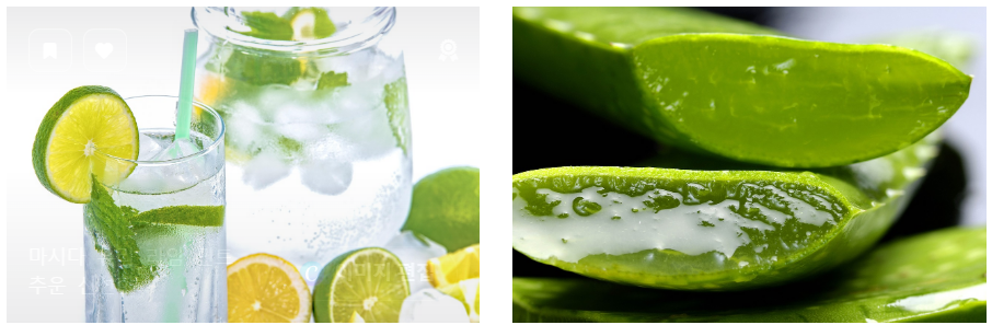 탈모에 좋은 민트와 알로에 사진