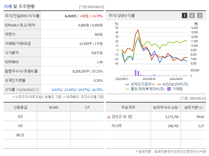 브레인즈컴퍼니_기업개요